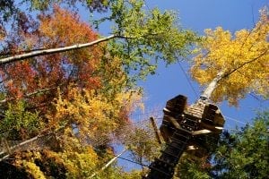 ArborTrek_Fall