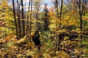 ArborTrek_Fall