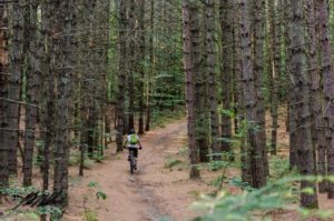 4 Points Mountain Bike School & Guides