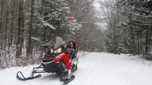 Snowmobile Vermont_Forest