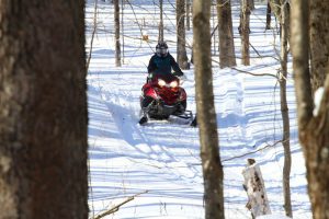 Snowmobile Vermont_Forest Rider