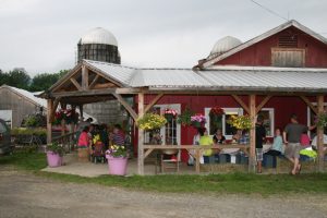 Valley Dream Farm_Summer 2018